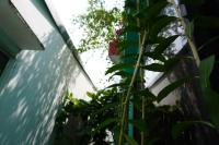 Healing Homestay Bình Thạnh - Ferienwohnung Ho-Chi-Minh-Stadt