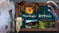 Pension Snadun - Chambres d'hôtes Ginoza