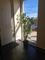 Apartmani Rada - B&B Novi Sad