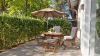 Sterntaucher 02 - B&B Ostseebad Prerow
