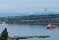 Quiet Ocean View Open Concept, Loft Style Studio within Forested Area, Near Parks & Ferry - B&B Nanaimo
