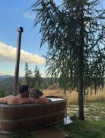 Cabana DenZ - Ferienwohnung Măguri