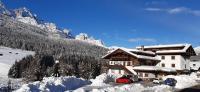 La Pineta Apartment - Bed and Breakfast Padola