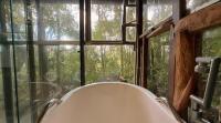 Casa Bambu - Design - Imersão na Floresta - Bed and Breakfast Ouro Preto