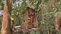 Casa Bambu - Design - Imersão na Floresta - Bed and Breakfast Ouro Preto