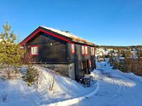Mountain cabin in Aurdal Fireplace Sauna 1000 meters above sea level - Ferienwohnung Aurdal