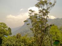 Chambre Double - Vue sur Rocher d'Ella