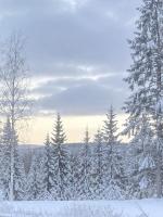 Northern Lights Farmhouse with Sauna - B&B Muurola