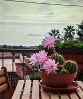 B&B Mareluce - B&B Torre del Greco