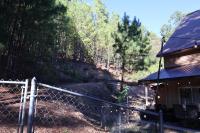 Hillside Hideaway Retreat - A Secluded Modern Cabin - Chambres d'hôtes Hot Springs