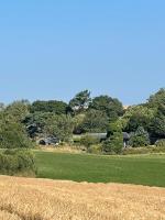 Little Well, stunning setting - EV point, dogs welcome - B&B Slapton