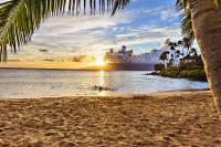 Napili Shores E144 - Ferienwohnung Kahana
