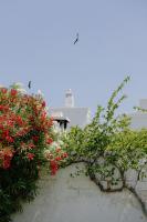 Masseria Don Luigi-Luxury Farmhouse - Bed and Breakfast Savelletri Di Fasano