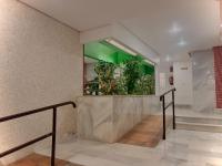 Moriones holiday apartment - B&B Torrevieja