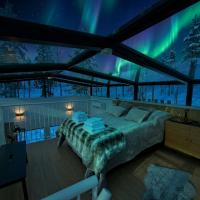 Levi Lapland Luxury Igloo 8C - Bed and Breakfast Levi