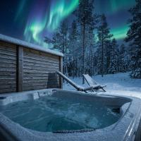 Levi Lapland Luxury Igloos C - B&B Levi