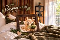 Tinyhouse mit Alpakas - Ruhe &Natur Rosmarinzeit Südburgenland-Frühstück zubuchbar - Ferienwohnung Eltendorf