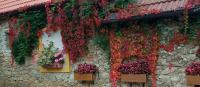 Pension Fanlor - B&B Zubčická Lhotka