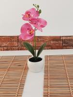 Apartment Natti - B&B Sremska Kamenica