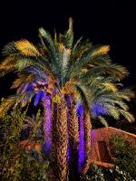 Bivouac Lot Of Stars - B&B Ouarzazate