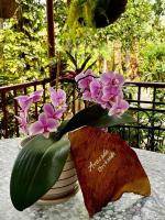 Avocado Orchards - Home Stay - B&B Kunchūr