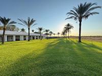 Flying Ostrich Guesthouse & Palmrest Farmstall - B&B Mariental
