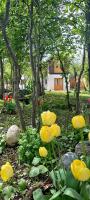 Delta Garden II - Bed and Breakfast Bariloche