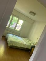 Exploring Lac Leman from above - Ferienwohnung Chardonne VD