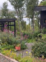 Håkøya Lodge - Chambres d'hôtes Tromsø