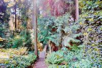 Calamity Cabin - B&B Gig Harbor