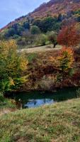 Bran Forest Hideaway - B&B Predelut