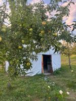 ASAN Guest House - Bed and Breakfast Toktogul