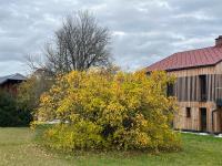 Refugium Mitterbach - B&B Mitterbachamt
