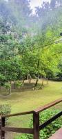 Isla Pupe - B&B Tigre