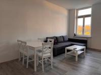 Blue Rose Apatrman2 - Bed and Breakfast Karlsbad