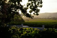 Hartebeeskraal Selfcatering cottage - Chambres d’hôtes