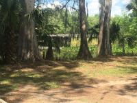 Big Cypress - B&B Lake Panasoffkee