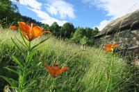 Chambre Double avec Salle de Bains Extérieure Commune