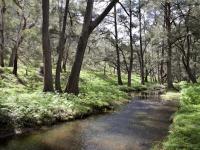 Turon Gates Wilderness Retreat - Lodges, Log Cabins and Glamping near the Blue Mountains - Chambres d'hôtes Capertee