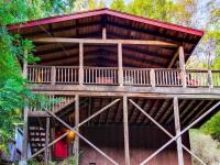 Tree Top View Cabin - B&B