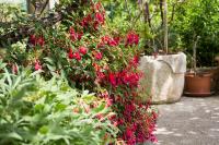 Apartman Astrid - Bed and Breakfast Veli Lošinj