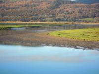 Gogarth hall Farm holidays - B&B