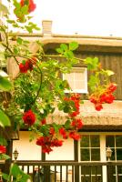 Hof Kranichstein - B&B Kluis