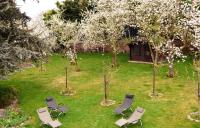 Camera Standard Matrimoniale/Doppia con Letti Singoli con Vista Giardino