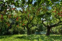 Sotto I Sassi - B&B