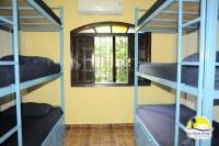 Bed in Female 9-Bed Dormitory Room Ensuite