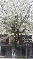 Kyurkchievi Guest House - B&B