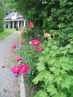 Aux petits oiseaux - B&B Baie-Saint-Paul