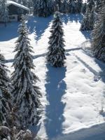 Rifugio Di Pace - Bed and Breakfast