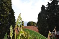 One-Bedroom Apartment (4 Adults)